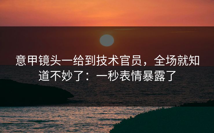 意甲镜头一给到技术官员,全场就知道不妙了:一秒表情暴露了